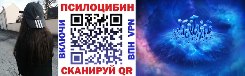 наркотики  Рассказово  Галлюциногенные грибы Psilocybine cubensis 